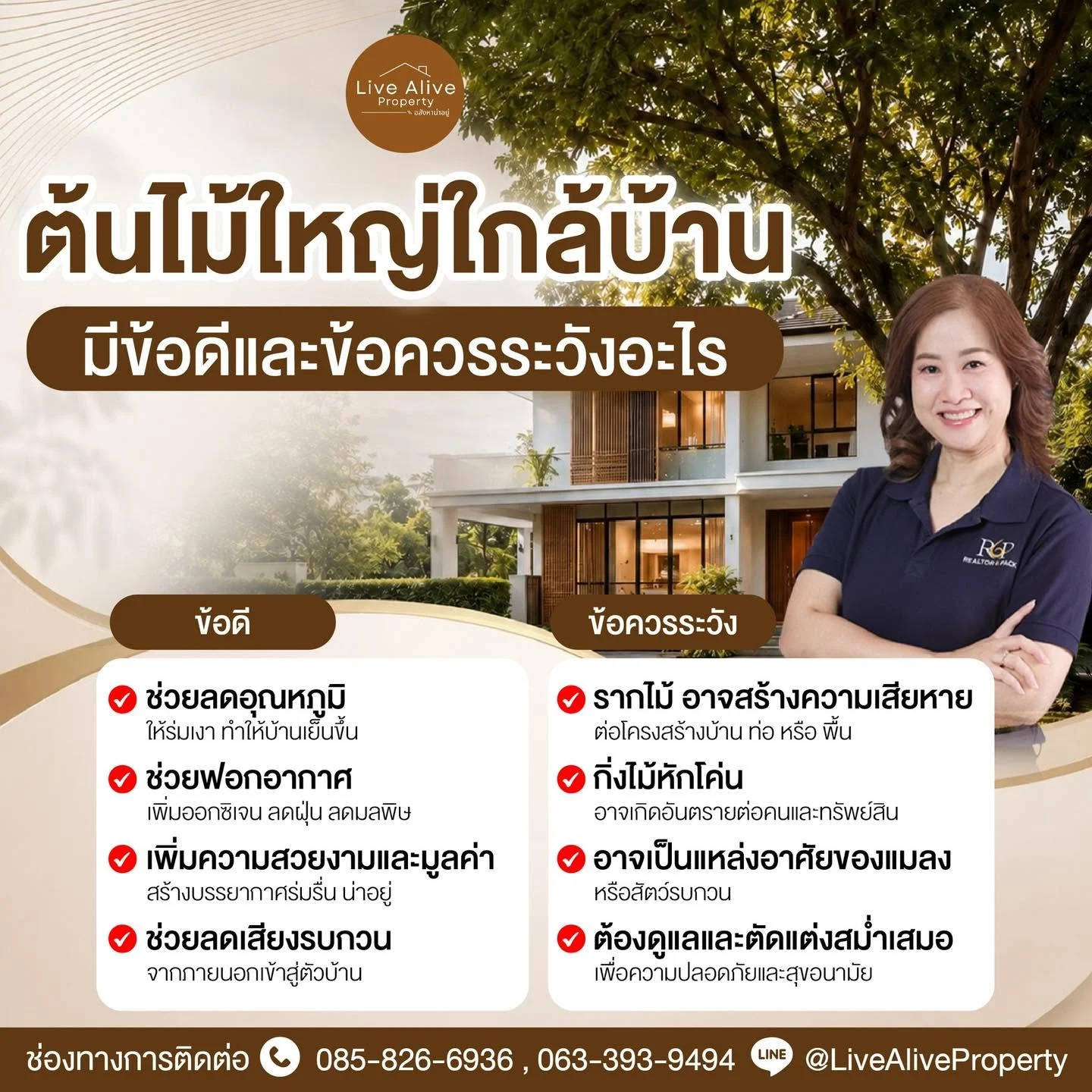 ต้นไม้ใหญ่ใกล้บ้าน…มีข้อดี แต่ก็มีเรื่องที่ควรระวัง